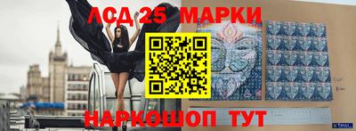 метамфетамин Гатчина