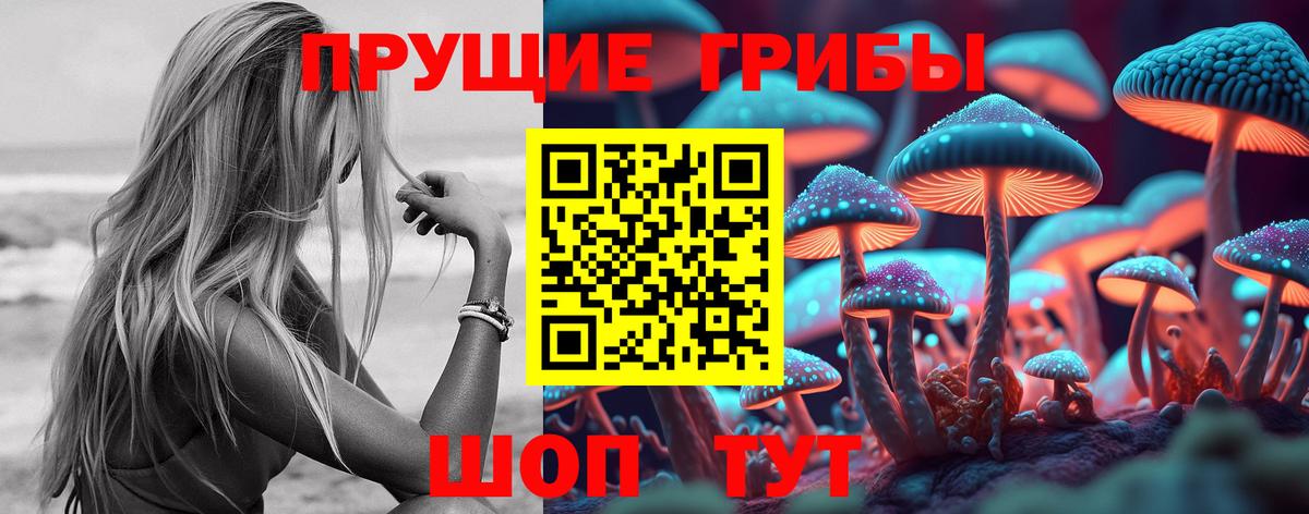 Псилоцибиновые грибы Psilocybe Воронеж